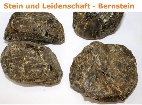 Sumatra - Bernstein - Rohsteine Unikate B (210 - 240 g Stücke)