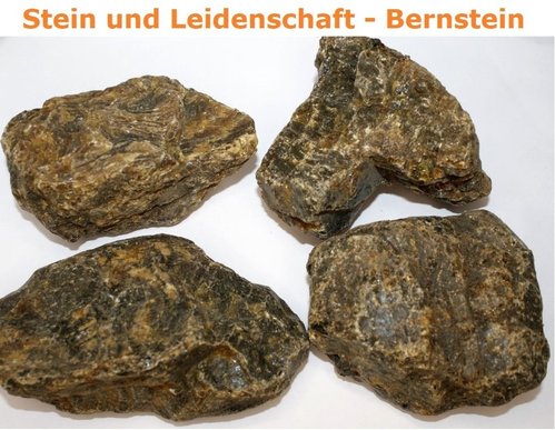 Sumatra - Bernstein - Rohsteine Unikate I (165 - 195 g Stücke)