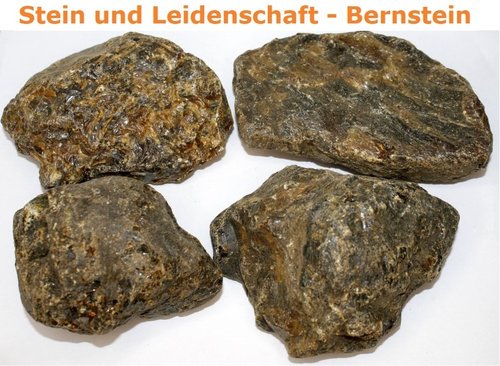 Sumatra - Bernstein - Rohsteine Unikate G (145 - 185 g Stücke)