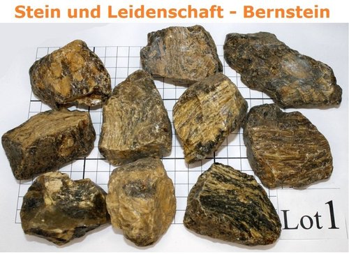 Sumatra - Bernstein - Rohsteine WOOD AMBER - LOT 1 / 550 g / EXTRA-Qualität
