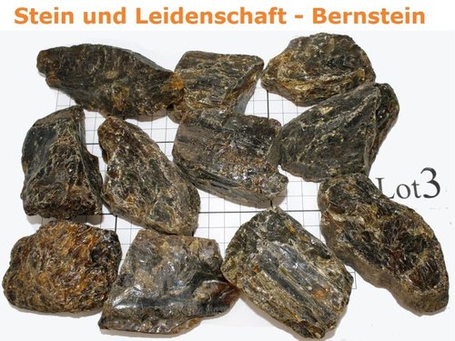Sumatra - Bernstein - Rohsteine - LOT 3 / 750 g / EXTRA-Qualität