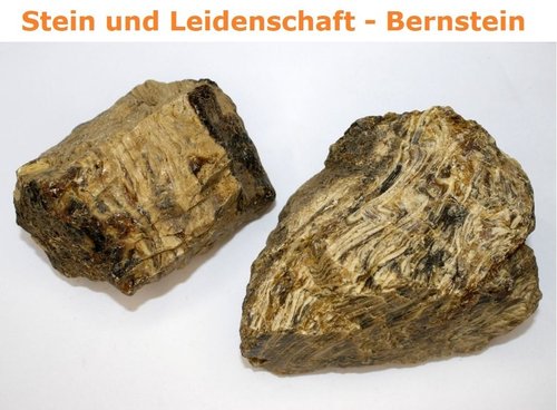 Sumatra - Bernstein - Rohsteine WOOD AMBER - Unikate N (300 - 380 g Stücke) / EXTRA-Qualität